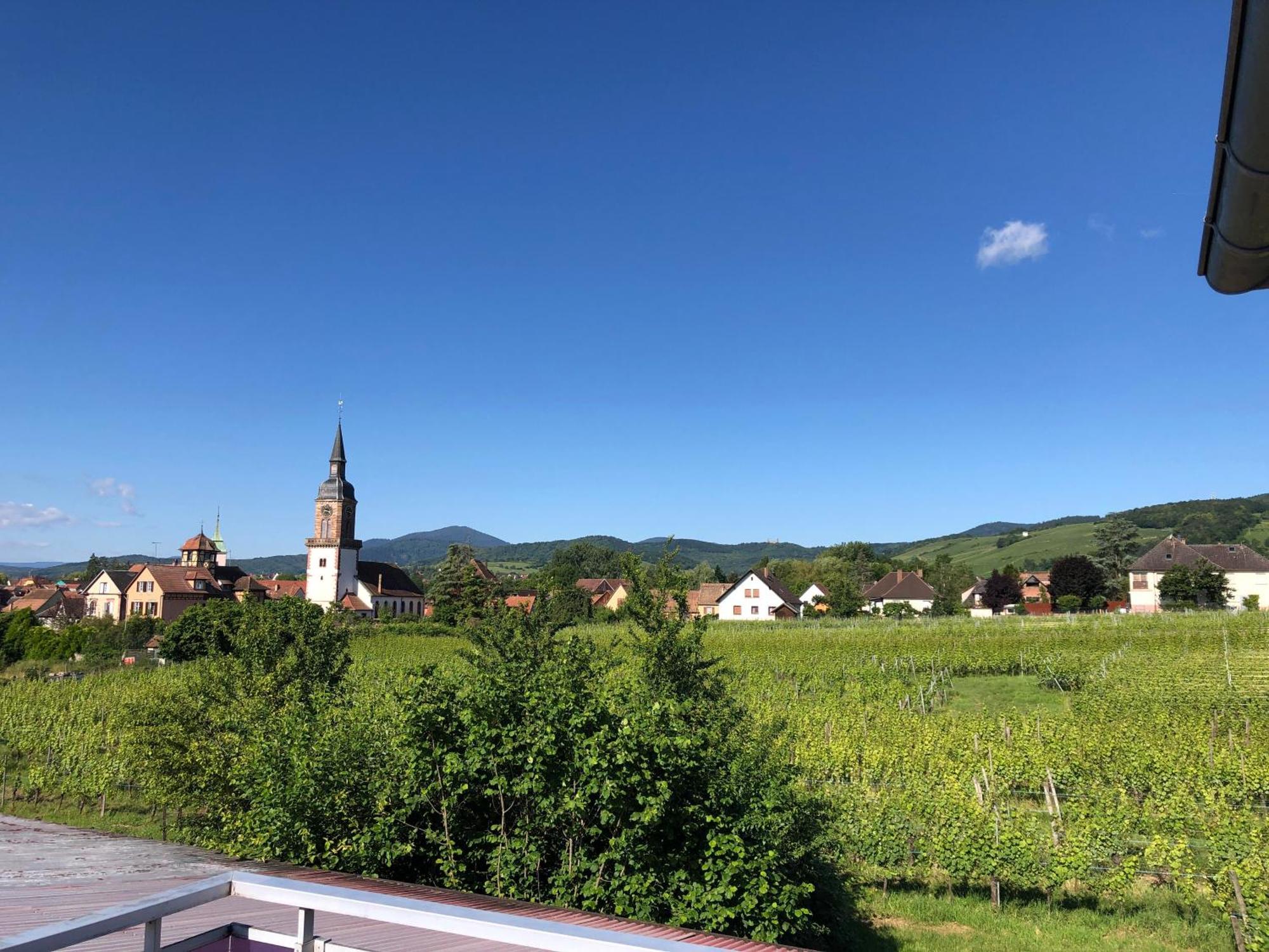 Domaine Rosfelder - Locations De Gite Et Cabane Insolite Gertwiller Экстерьер фото